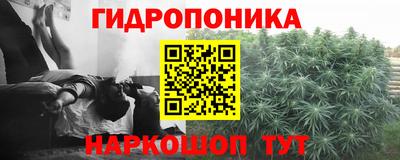2c-b Кандалакша