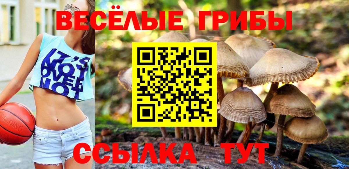 Галлюциногенные грибы мухоморы  Вход с VPN  Ярославль 